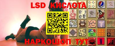 гашик Бузулук
