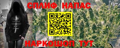 гашик Бузулук