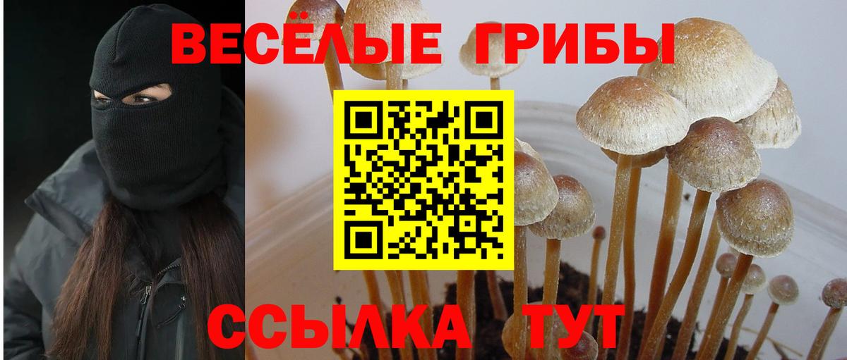 Конаково  Псилоцибиновые грибы мицелий  Вход с VPN 